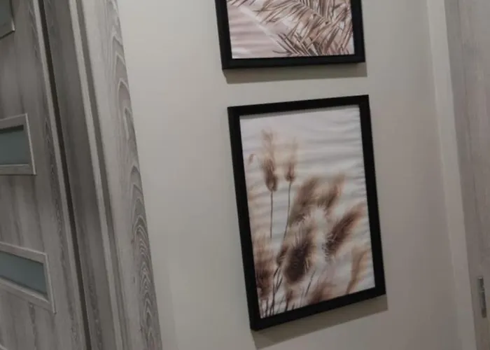 студио Bella Varna